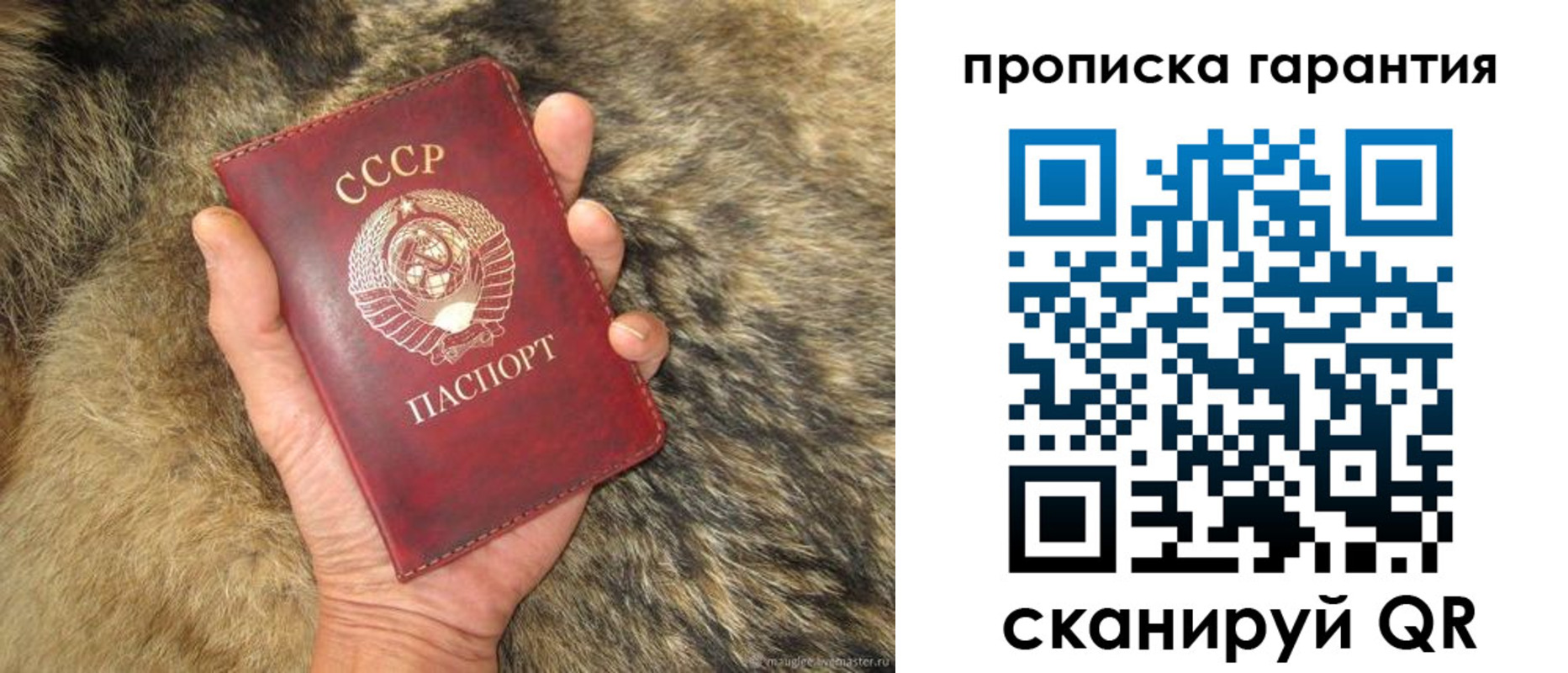 прописка паспорт в Балее